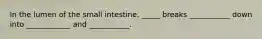 In the lumen of the small intestine, _____ breaks ___________ down into ____________ and ___________.