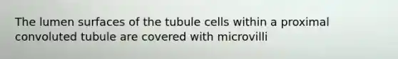 The lumen surfaces of the tubule cells within a proximal convoluted tubule are covered with microvilli