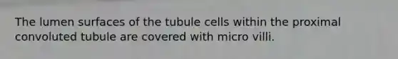 The lumen surfaces of the tubule cells within the proximal convoluted tubule are covered with micro villi.