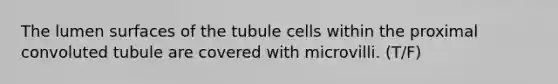 The lumen surfaces of the tubule cells within the proximal convoluted tubule are covered with microvilli. (T/F)