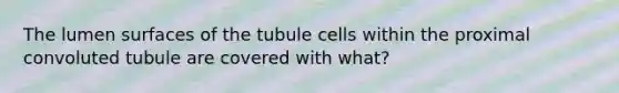 The lumen surfaces of the tubule cells within the proximal convoluted tubule are covered with what?