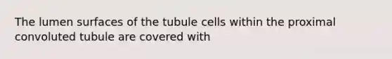 The lumen surfaces of the tubule cells within the proximal convoluted tubule are covered with