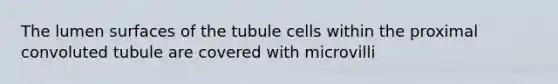 The lumen surfaces of the tubule cells within the proximal convoluted tubule are covered with microvilli