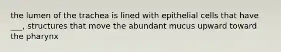the lumen of the trachea is lined with epithelial cells that have ___, structures that move the abundant mucus upward toward the pharynx