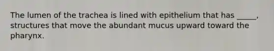 The lumen of the trachea is lined with epithelium that has _____, structures that move the abundant mucus upward toward the pharynx.