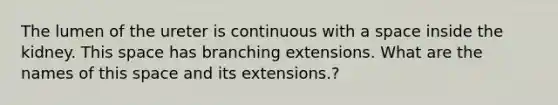 The lumen of the ureter is continuous with a space inside the kidney. This space has branching extensions. What are the names of this space and its extensions.?
