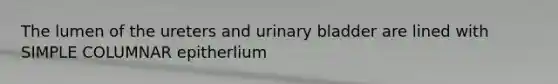 The lumen of the ureters and urinary bladder are lined with SIMPLE COLUMNAR epitherlium