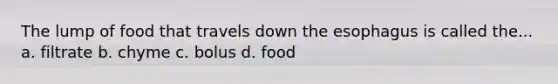 The lump of food that travels down the esophagus is called the... a. filtrate b. chyme c. bolus d. food