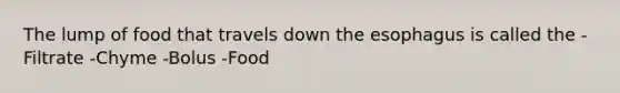 The lump of food that travels down the esophagus is called the -Filtrate -Chyme -Bolus -Food