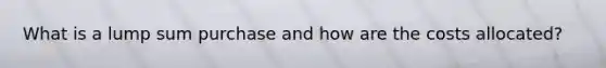 What is a lump sum purchase and how are the costs allocated?