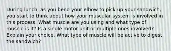 During lunch, as you bend your elbow to pick up your sandwich, you start to think about how your muscular system is involved in this process. What muscle are you using and what type of muscle is it? Is a single motor unit or multiple ones involved? Explain your choice. What type of muscle will be active to digest the sandwich?