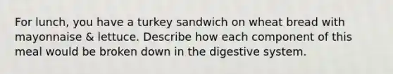 For lunch, you have a turkey sandwich on wheat bread with mayonnaise & lettuce. Describe how each component of this meal would be broken down in the digestive system.