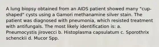 A lung biopsy obtained from an AIDS patient showed many "cup-shaped" cysts using a Gamori methanamine silver stain. The patient was diagnosed with pneumonia, which resisted treatment with antifungals. The most likely identification is: a. Pneumocystis jirovecci b. Histoplasma capsulatum c. Sporothrix schenckii d. Mucor Spp.