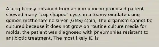 A lung biopsy obtained from an immunocompromised patient showed many "cup shaped" cysts in a foamy exudate using gomori methenamine silver (GMS) stain, The organism cannot be cultured because it does not grow on routine culture media for molds. the patient was diagnosed with pneumonias resistant to antibiotic treatment. The most likely ID is