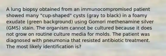 A lung biopsy obtained from an immunocompromised patient showed many "cup-shaped" cysts (gray to black) in a foamy exudate (green background) using Gomori methenamine silver (GMS) stain. The organism cannot be cultured because it does not grow on routine culture media for molds. The patient was diagnosed with pneumonia that resisted antibiotic treatment. The most likely identification is?