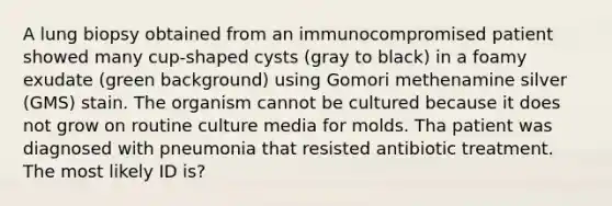 A lung biopsy obtained from an immunocompromised patient showed many cup-shaped cysts (gray to black) in a foamy exudate (green background) using Gomori methenamine silver (GMS) stain. The organism cannot be cultured because it does not grow on routine culture media for molds. Tha patient was diagnosed with pneumonia that resisted antibiotic treatment. The most likely ID is?