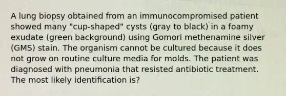 A lung biopsy obtained from an immunocompromised patient showed many "cup-shaped" cysts (gray to black) in a foamy exudate (green background) using Gomori methenamine silver (GMS) stain. The organism cannot be cultured because it does not grow on routine culture media for molds. The patient was diagnosed with pneumonia that resisted antibiotic treatment. The most likely identiﬁcation is?