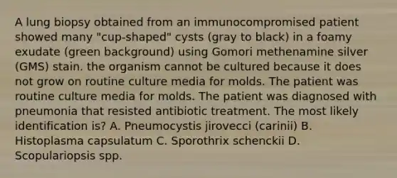 A lung biopsy obtained from an immunocompromised patient showed many "cup-shaped" cysts (gray to black) in a foamy exudate (green background) using Gomori methenamine silver (GMS) stain. the organism cannot be cultured because it does not grow on routine culture media for molds. The patient was routine culture media for molds. The patient was diagnosed with pneumonia that resisted antibiotic treatment. The most likely identification is? A. Pneumocystis jirovecci (carinii) B. Histoplasma capsulatum C. Sporothrix schenckii D. Scopulariopsis spp.