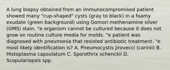 A lung biopsy obtained from an immunocompromised patient showed many "cup-shaped" cysts (gray to black) in a foamy exudate (green background) using Gomori methenamine silver (GMS) stain. "e organism cannot be cultured because it does not grow on routine culture media for molds. "e patient was diagnosed with pneumonia that resisted antibiotic treatment. "e most likely identification is? A. Pneumocystis jirovecci (carinii) B. Histoplasma capsulatum C. Sporothrix schenckii D. Scopulariopsis spp.