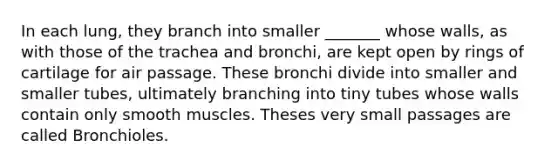 In each lung, they branch into smaller _______ whose walls, as with those of the trachea and bronchi, are kept open by rings of cartilage for air passage. These bronchi divide into smaller and smaller tubes, ultimately branching into tiny tubes whose walls contain only smooth muscles. Theses very small passages are called Bronchioles.