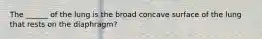 The ______ of the lung is the broad concave surface of the lung that rests on the diaphragm?