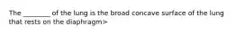 The ________ of the lung is the broad concave surface of the lung that rests on the diaphragm>