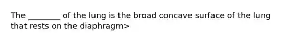 The ________ of the lung is the broad concave surface of the lung that rests on the diaphragm>