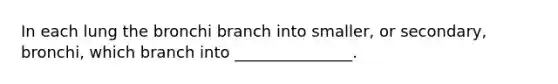 In each lung the bronchi branch into smaller, or secondary, bronchi, which branch into _______________.