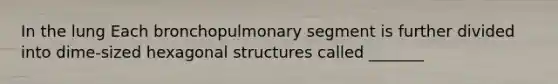 In the lung Each bronchopulmonary segment is further divided into dime-sized hexagonal structures called _______