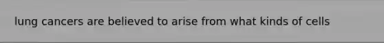 lung cancers are believed to arise from what kinds of cells