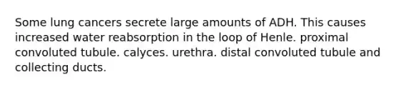 Some lung cancers secrete large amounts of ADH. This causes increased water reabsorption in the loop of Henle. proximal convoluted tubule. calyces. urethra. distal convoluted tubule and collecting ducts.