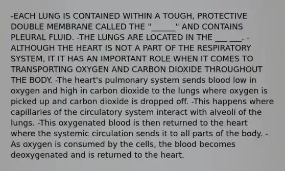 -EACH LUNG IS CONTAINED WITHIN A TOUGH, PROTECTIVE DOUBLE MEMBRANE CALLED THE "______" AND CONTAINS PLEURAL FLUID. -THE LUNGS ARE LOCATED IN THE ___ ___. -ALTHOUGH THE HEART IS NOT A PART OF THE RESPIRATORY SYSTEM, IT IT HAS AN IMPORTANT ROLE WHEN IT COMES TO TRANSPORTING OXYGEN AND CARBON DIOXIDE THROUGHOUT THE BODY. -The heart's pulmonary system sends blood low in oxygen and high in carbon dioxide to the lungs where oxygen is picked up and carbon dioxide is dropped off. -This happens where capillaries of the circulatory system interact with alveoli of the lungs. -This oxygenated blood is then returned to the heart where the systemic circulation sends it to all parts of the body. -As oxygen is consumed by the cells, the blood becomes deoxygenated and is returned to the heart.