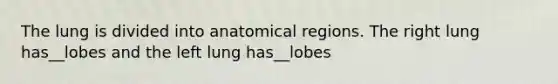 The lung is divided into anatomical regions. The right lung has__lobes and the left lung has__lobes