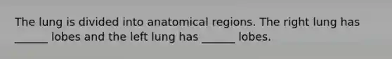 The lung is divided into anatomical regions. The right lung has ______ lobes and the left lung has ______ lobes.