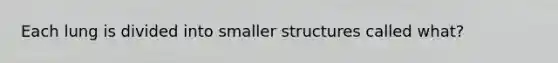 Each lung is divided into smaller structures called what?