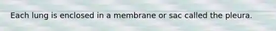 Each lung is enclosed in a membrane or sac called the pleura.