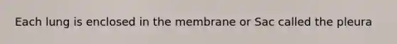 Each lung is enclosed in the membrane or Sac called the pleura