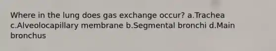 Where in the lung does gas exchange occur? a.Trachea c.Alveolocapillary membrane b.Segmental bronchi d.Main bronchus