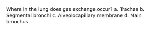 Where in the lung does gas exchange occur? a. Trachea b. Segmental bronchi c. Alveolocapillary membrane d. Main bronchus