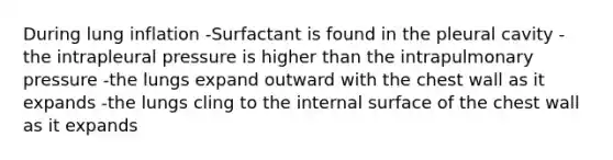 During lung inflation -Surfactant is found in the pleural cavity -the intrapleural pressure is higher than the intrapulmonary pressure -the lungs expand outward with the chest wall as it expands -the lungs cling to the internal surface of the chest wall as it expands