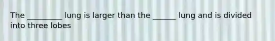 The _________ lung is larger than the ______ lung and is divided into three lobes