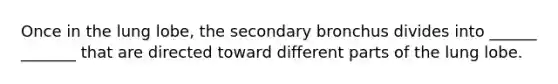 Once in the lung lobe, the secondary bronchus divides into ______ _______ that are directed toward different parts of the lung lobe.