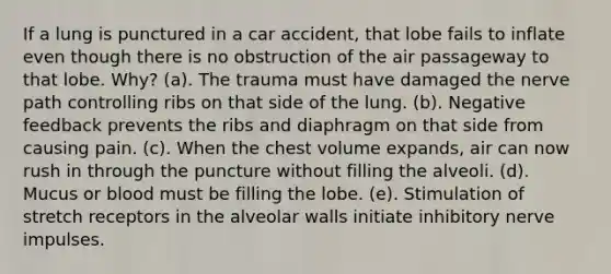 If a lung is punctured in a car accident, that lobe fails to inflate even though there is no obstruction of the air passageway to that lobe. Why? (a). The trauma must have damaged the nerve path controlling ribs on that side of the lung. (b). Negative feedback prevents the ribs and diaphragm on that side from causing pain. (c). When the chest volume expands, air can now rush in through the puncture without filling the alveoli. (d). Mucus or blood must be filling the lobe. (e). Stimulation of stretch receptors in the alveolar walls initiate inhibitory nerve impulses.