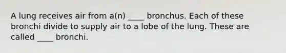 A lung receives air from a(n) ____ bronchus. Each of these bronchi divide to supply air to a lobe of the lung. These are called ____ bronchi.