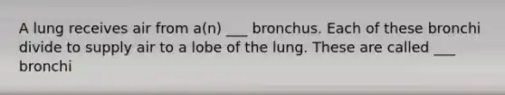 A lung receives air from a(n) ___ bronchus. Each of these bronchi divide to supply air to a lobe of the lung. These are called ___ bronchi