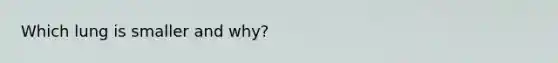 Which lung is smaller and why?