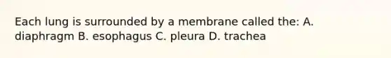 Each lung is surrounded by a membrane called the: A. diaphragm B. esophagus C. pleura D. trachea