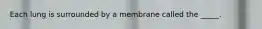 Each lung is surrounded by a membrane called the _____.