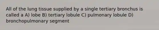 All of the lung tissue supplied by a single tertiary bronchus is called a A) lobe B) tertiary lobule C) pulmonary lobule D) bronchopulmonary segment