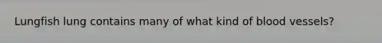 Lungfish lung contains many of what kind of blood vessels?